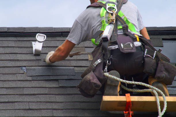 Best Roof Restoration Services  in Charleston, IL