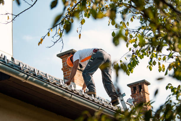 Professional Roofing Contractor in Charleston, IL