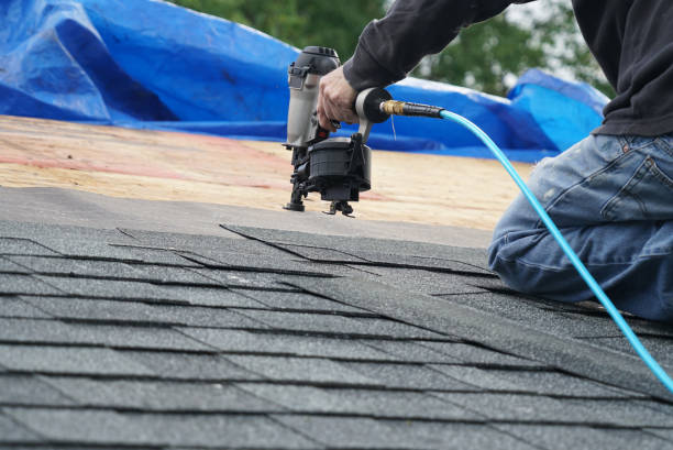Best Roof Maintenance Services  in Charleston, IL