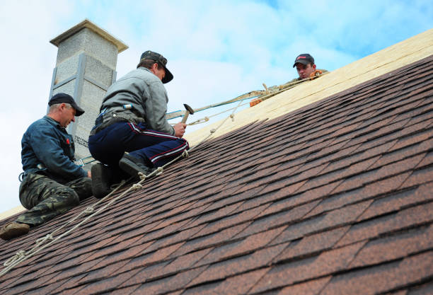 Best Tile Roofing Contractor  in Charleston, IL